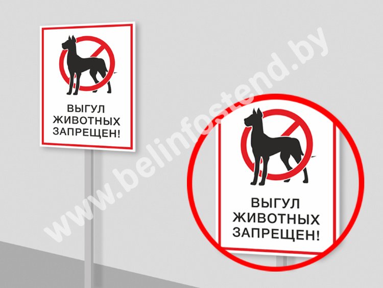 Табличка «Выгул животных запрещён» на ножке (арт. ДН8)